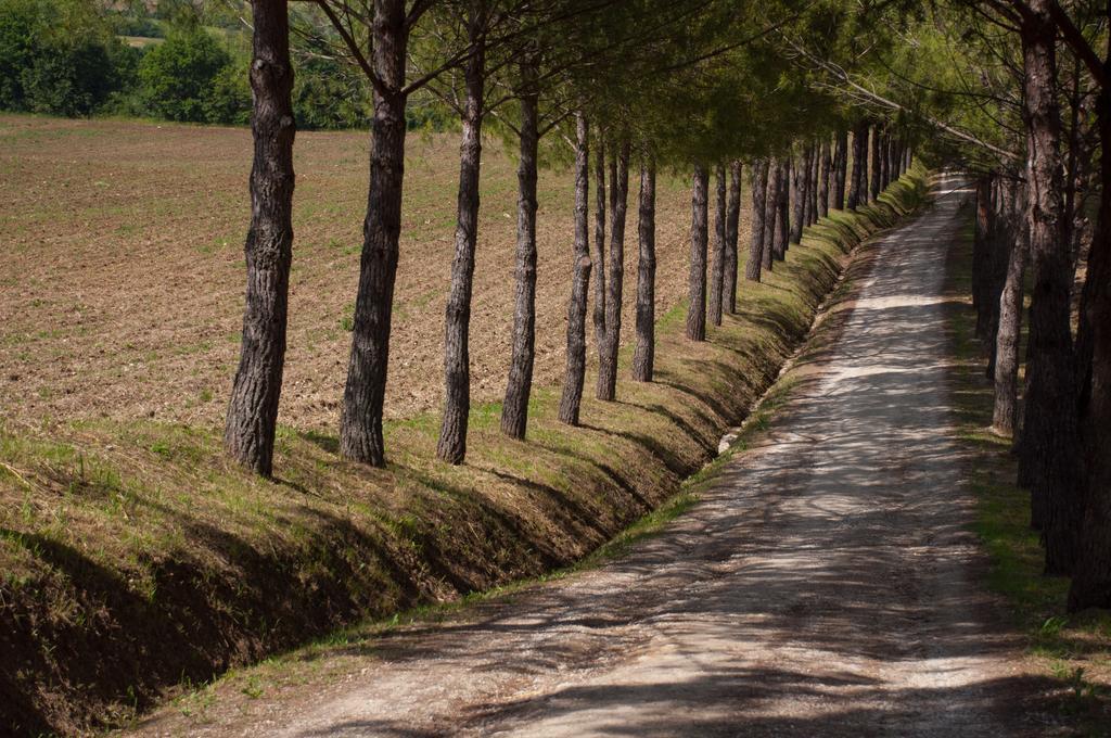 Agriturismo La Pieve Colle Val D'Elsa Exteriér fotografie