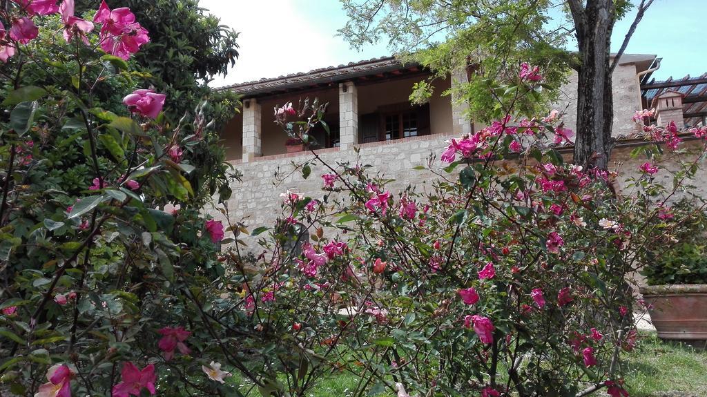 Agriturismo La Pieve Colle Val D'Elsa Exteriér fotografie