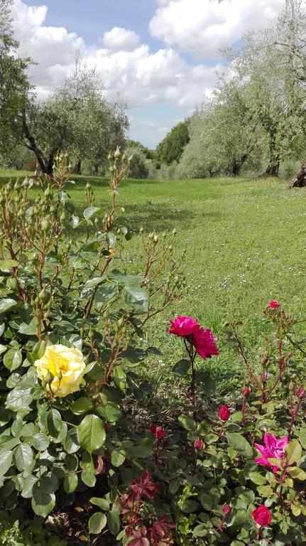 Agriturismo La Pieve Colle Val D'Elsa Exteriér fotografie